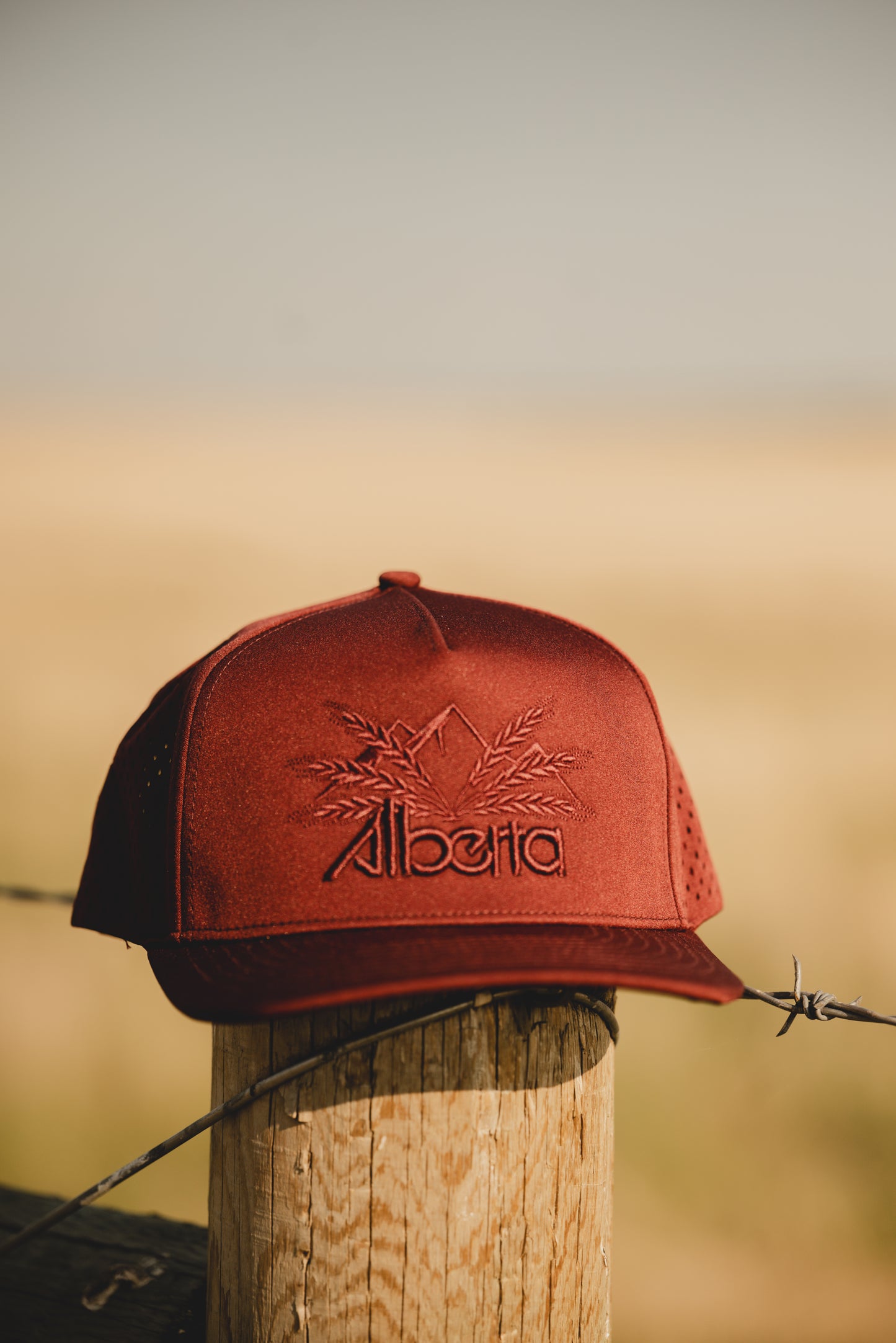 The Roxanne Ballcap