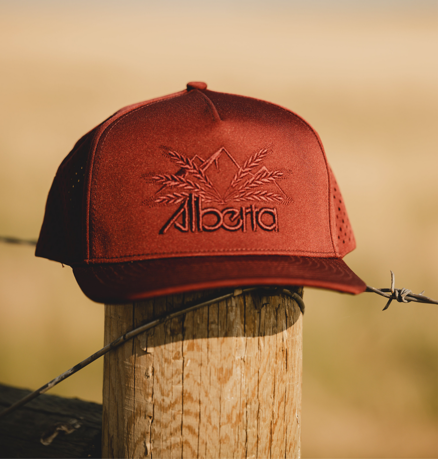 The Roxanne Ballcap
