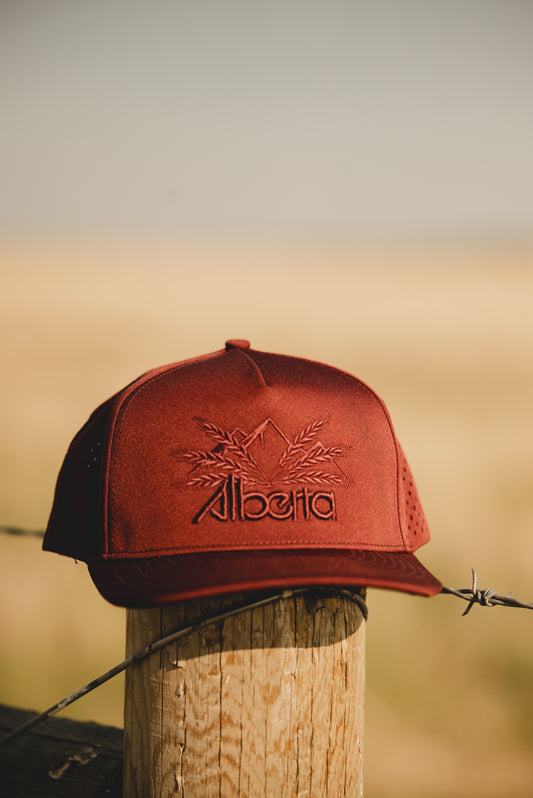 The Roxanne Ballcap